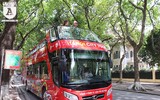 Xe buýt 2 tầng chính thức 
